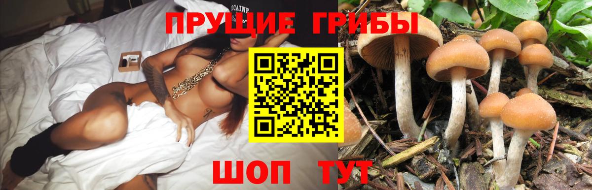 Галлюциногенные грибы ЛСД Курчатов